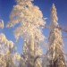 Безназвания