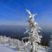 на севере диком...